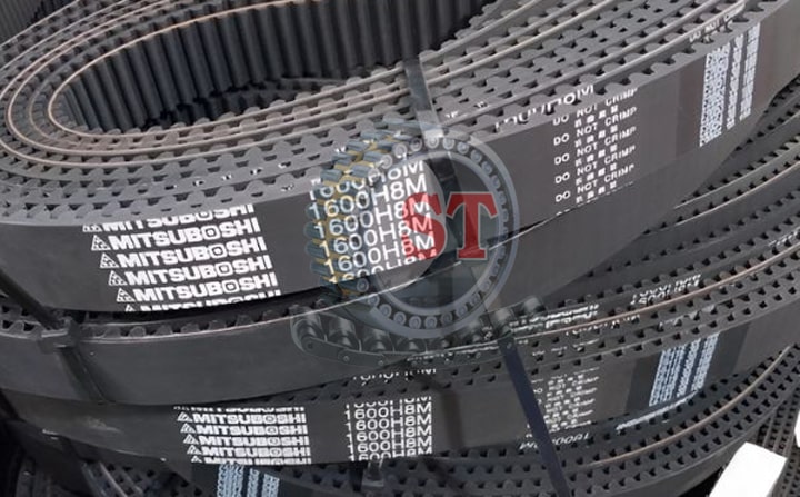 Hướng dẫn cách quy đổi dây curoa tránh sai sót khi mua chuẩn xác và dễ hiểu